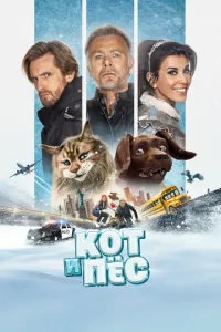 Кот и пёс (2024) смотреть онлайн